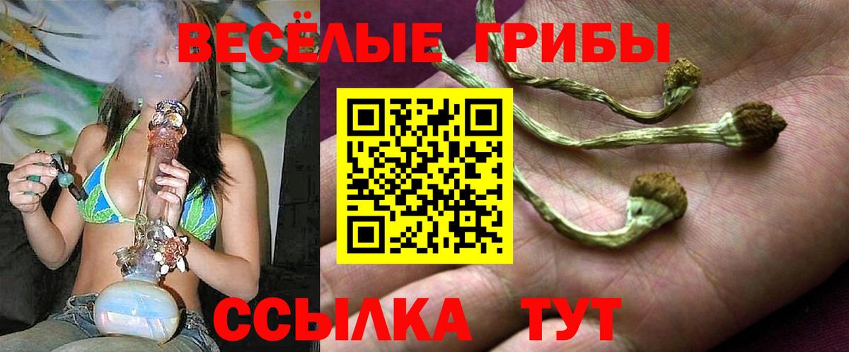 Галлюциногенные грибы ЛСД  Вход с VPN  продажа наркотиков  Белово 